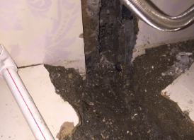 沿河卫生间测漏水哪家好