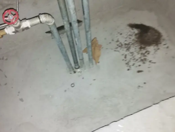 沿河卫生间测漏水价格明细