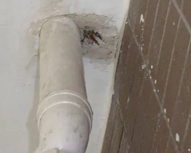 沿河漏水检测哪家好